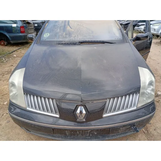Capot Delantero para Renault Vel Satis (Bj0_)