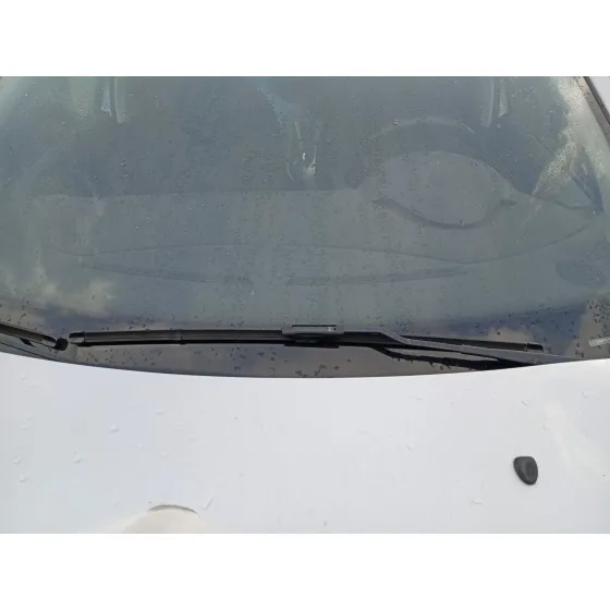 Brazo Limpia Delantero Izquierdo para Citroën C3 Ii (Sc_)