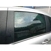 Luna Trasera Izquierda para Citroën C3 Ii (Sc_)