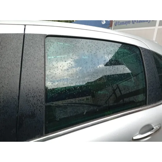 Luna Trasera Izquierda para Citroën C3 Ii (Sc_)
