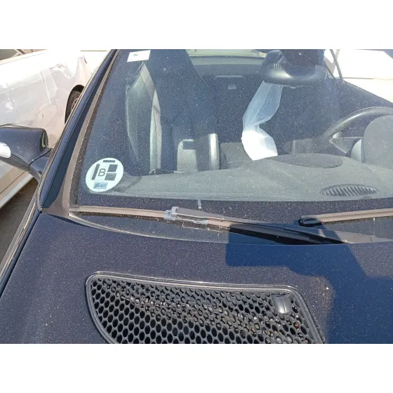 Brazo Limpia Delantero Derecho para Mercedes-Benz Slk (R171)