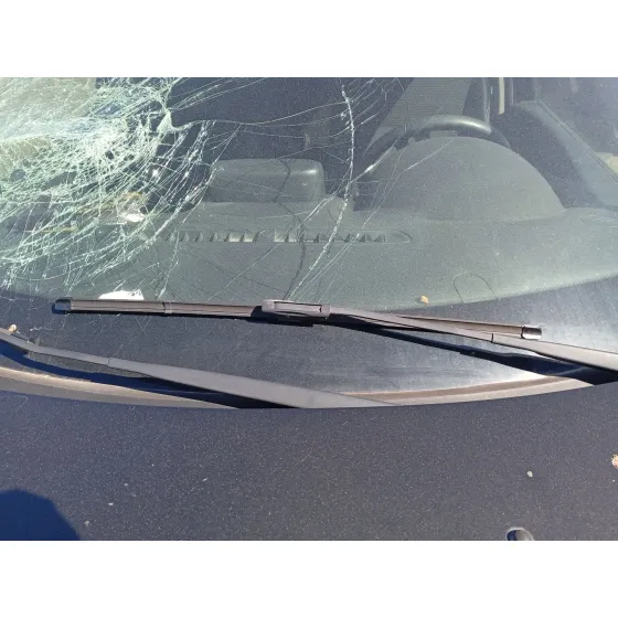Brazo Limpia Delantero Izquierdo para Renault Clio Iii (Br0/1, Cr0/1)