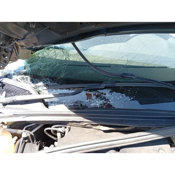 Brazo Limpia Delantero Derecho para Citroën C4 Ii (Nc_)