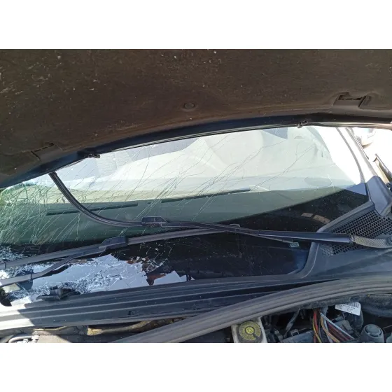 Brazo Limpia Delantero Izquierdo para Citroën C4 Ii (Nc_)