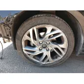 Mangueta Delantera Izquierda para Citroën C4 Ii (Nc_)