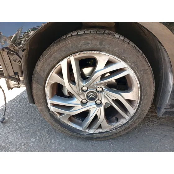 Mangueta Delantera Izquierda para Citroën C4 Ii (Nc_)