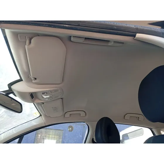 Techo Interior para Citroën C4 Ii (Nc_)