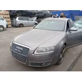 Amortiguador Delantero Izquierdo para Audi A6 C6 (4F2)