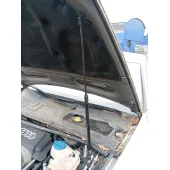 Amortiguadores Capo para Audi A6 C6 (4F2)
