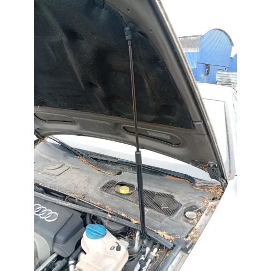 Amortiguadores Capo para Audi A6 C6 (4F2)