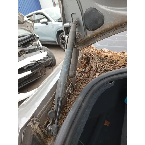 Amortiguadores Maletero / Porton para Audi A6 C6 (4F2)
