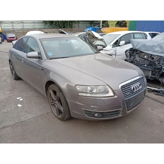 Barra Estabilizadora Delantera para Audi A6 C6 (4F2)