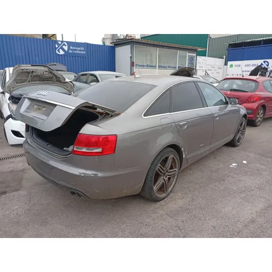Barra Estabilizadora Trasera para Audi A6 C6 (4F2)
