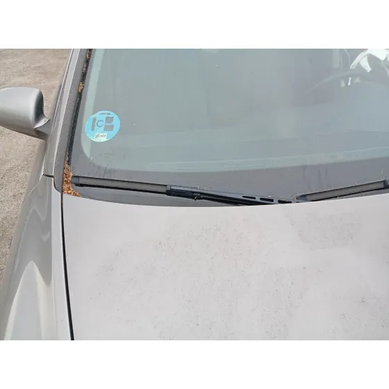 Brazo Limpia Delantero Derecho para Audi A6 C6 (4F2)