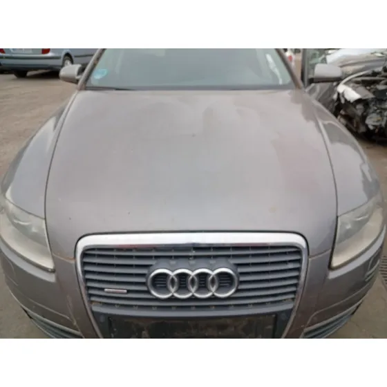 Capot Delantero para Audi A6 C6 (4F2)