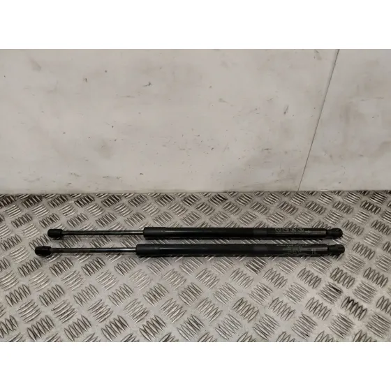 Amortiguadores Maletero / Porton para Toyota Rav 4 V (_A5_, _H5_)