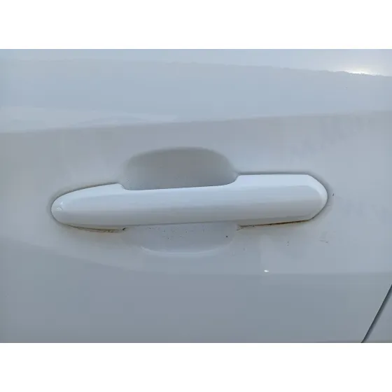 Maneta Exterior Trasera Izquierda para Toyota Rav 4 V (_A5_, _H5_)
