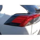 Piloto Trasero Izquierdo para Toyota Rav 4 V (_A5_, _H5_)