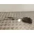 Cerradura Puerta Trasera Derecha para Toyota Rav 4 V (_A5_, _H5_)