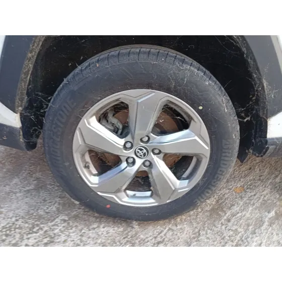 Mangueta Trasera Derecha para Toyota Rav 4 V (_A5_, _H5_)