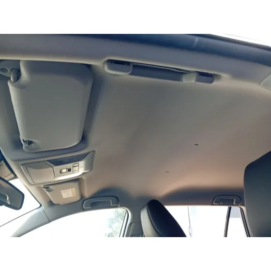 Techo Interior para Toyota Rav 4 V (_A5_, _H5_)