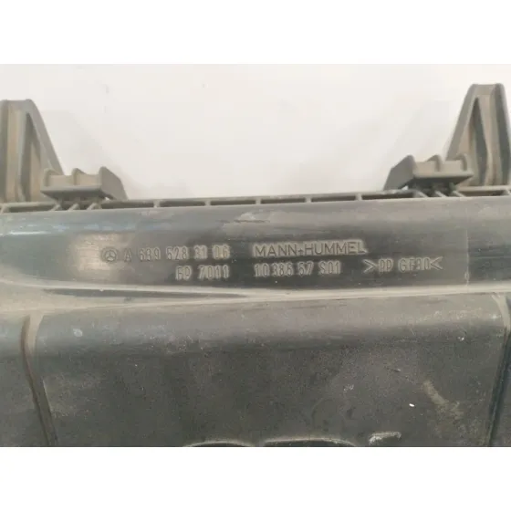 Carcasa Filtro Aire para Mercedes-Benz Viano (W639)