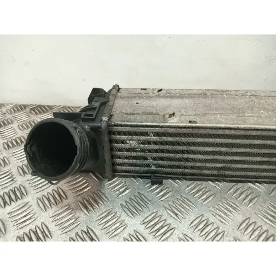 Intercooler para Bmw Serie 3 Berlina (E90)