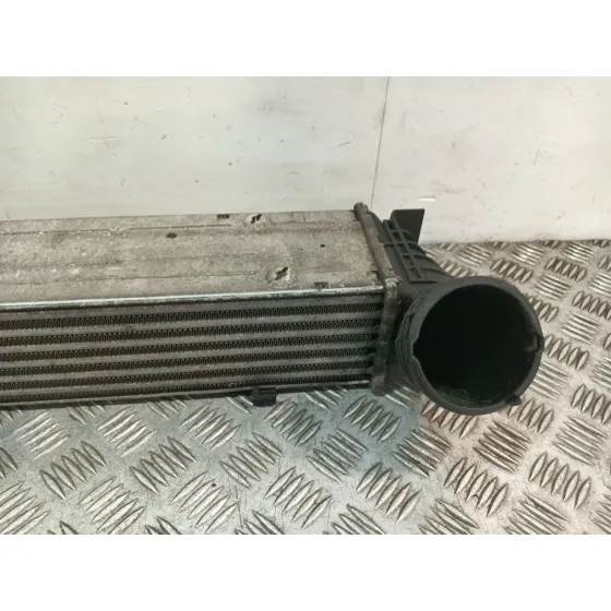 Intercooler para Bmw Serie 3 Berlina (E90)