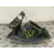 Piloto Trasero Izquierdo para Seat Ibiza Iii (6L1)
