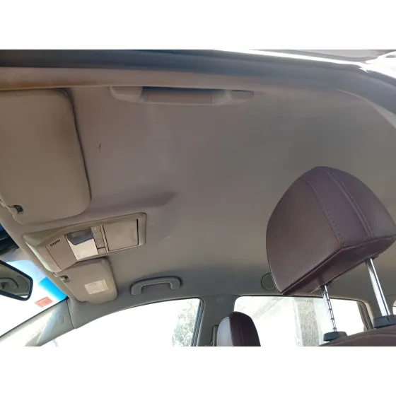 Techo Interior para Opel Antara A (L07)