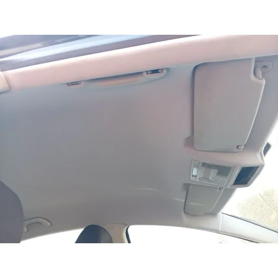 Techo Interior para Seat Leon (1P1)