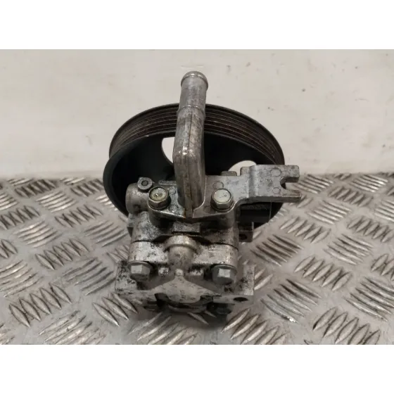Bomba Direccion para Hyundai Santa Fe (Bm)