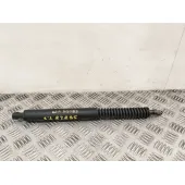 Amortiguadores Maletero / Porton para Peugeot 307 Cc (S2)