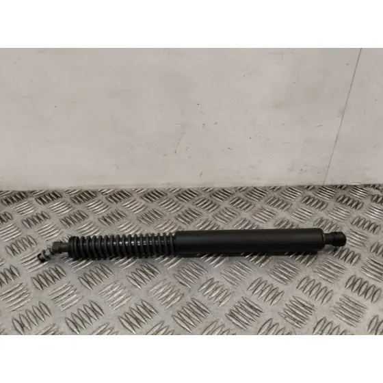Amortiguadores Maletero / Porton para Peugeot 307 Cc (S2)