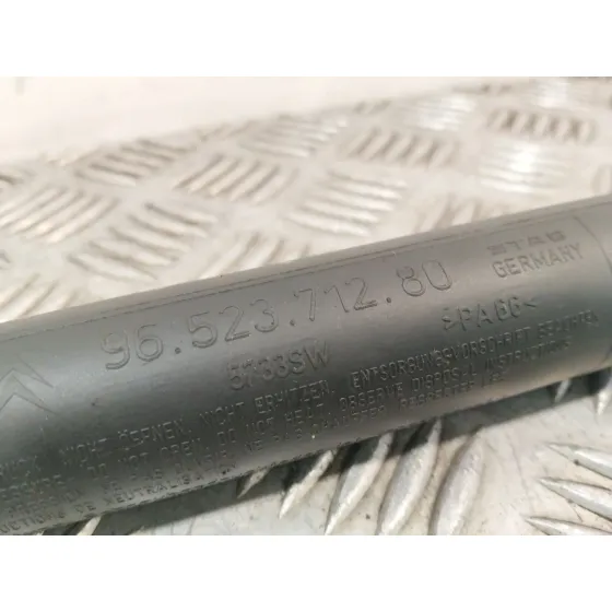Amortiguadores Maletero / Porton para Peugeot 307 Cc (S2)