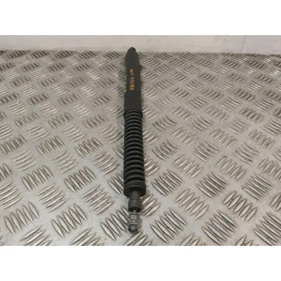 Amortiguadores Maletero / Porton para Peugeot 307 Cc (S2)