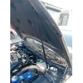 Amortiguadores Capo para Opel Insignia A (G09)