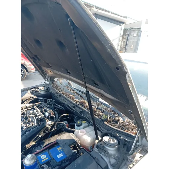 Amortiguadores Capo para Opel Insignia A (G09)
