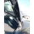 Amortiguadores Maletero / Porton para Seat Altea Xl (5P5, 5P8)