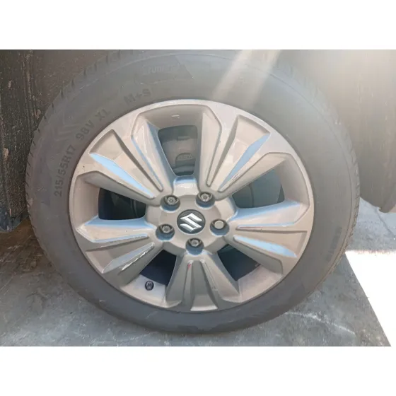 Pinza Freno Trasera Izquierda para Suzuki Vitara (Ly)