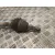 Transmision Delantera Izquierda para Ford Transit Courier B460 Furgon/Monospace