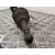 Transmision Delantera Izquierda para Ford Transit Furgoneta (Fa_ _)