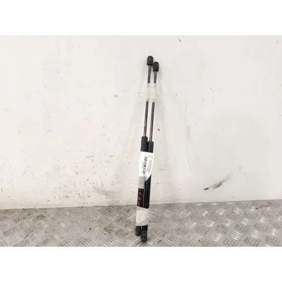Amortiguadores Maletero / Porton para Volkswagen Polo V (6R1, 6C1)