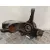 Mangueta Delantera Derecha para Ford Focus C-Max (Dm2)