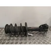 Amortiguador Delantero Izquierdo para Renault Master Iii Furgoneta (Fv)