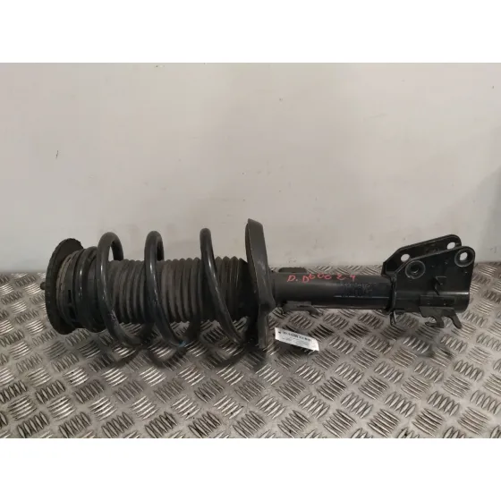 Amortiguador Delantero Izquierdo para Renault Master Iii Furgoneta (Fv)