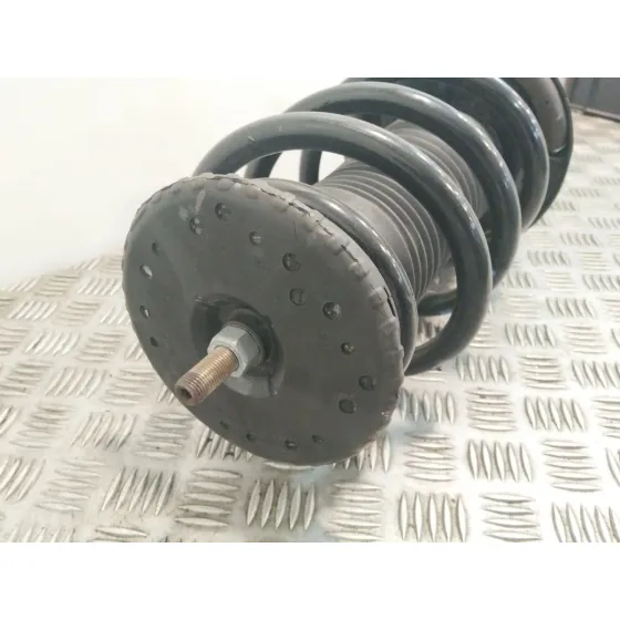 Amortiguador Delantero Izquierdo para Renault Master Iii Furgoneta (Fv)