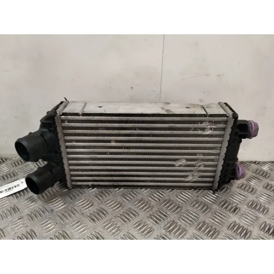 Intercooler para Peugeot 2008 Ii (Ud_, Us_, Uy_, Uj_, Ur_, Uc_)