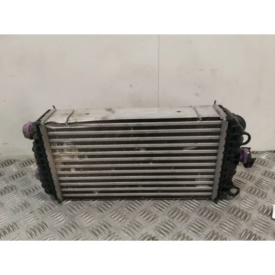 Intercooler para Peugeot 2008 Ii (Ud_, Us_, Uy_, Uj_, Ur_, Uc_)