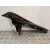 Moldura para Toyota Rav 4 V (_A5_, _H5_)